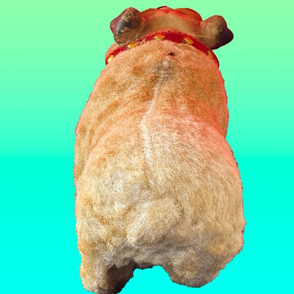 Donny the rubber-faced bulldog - Picture 4 of 7